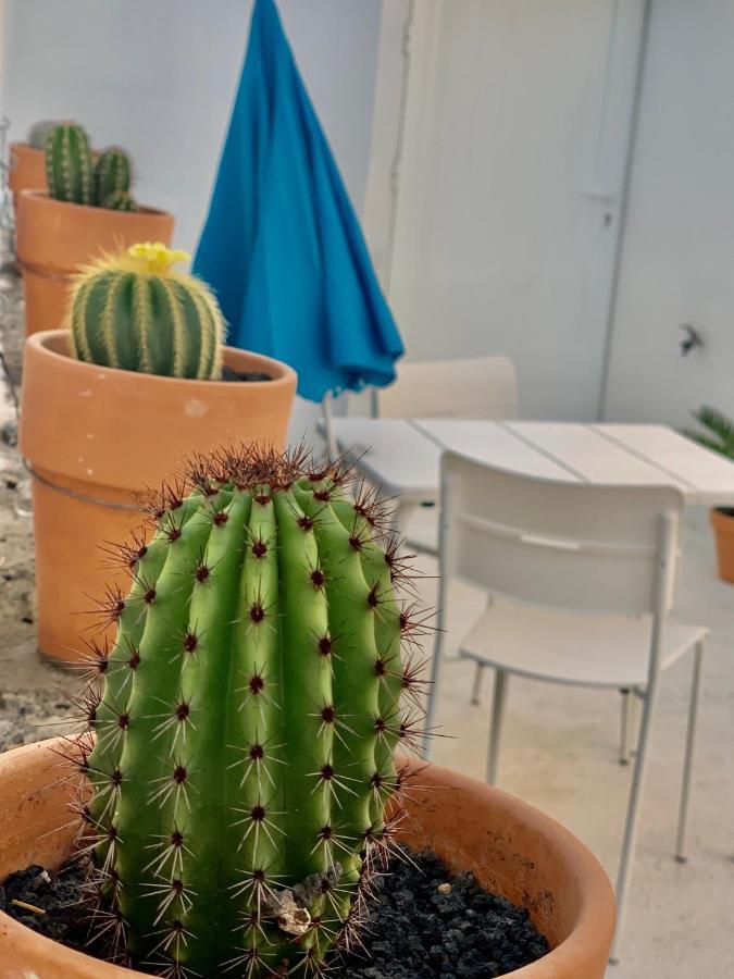 Apartmán Loft La Isla Playa Blanca  Exteriér fotografie