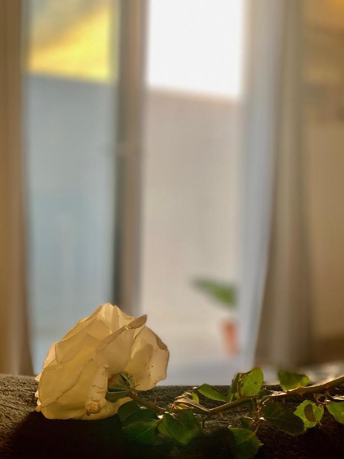 Apartmán Loft La Isla Playa Blanca  Exteriér fotografie